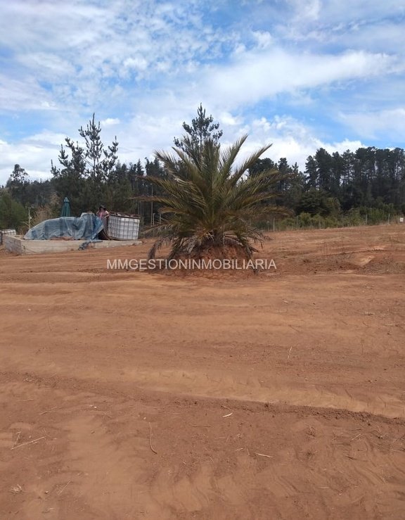 SE VENDE TERRENO CAMINO QUINTAY, SECTOR EL BATRO, CASABLANCA